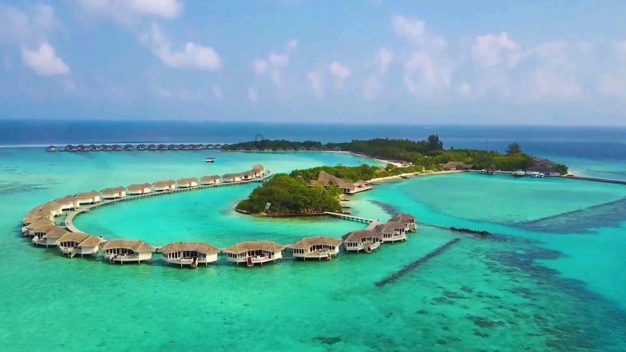 探知问答-汇集热门问题,深入解答