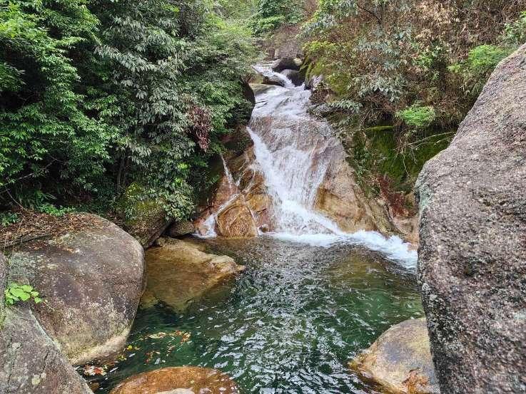 救援卡通小象